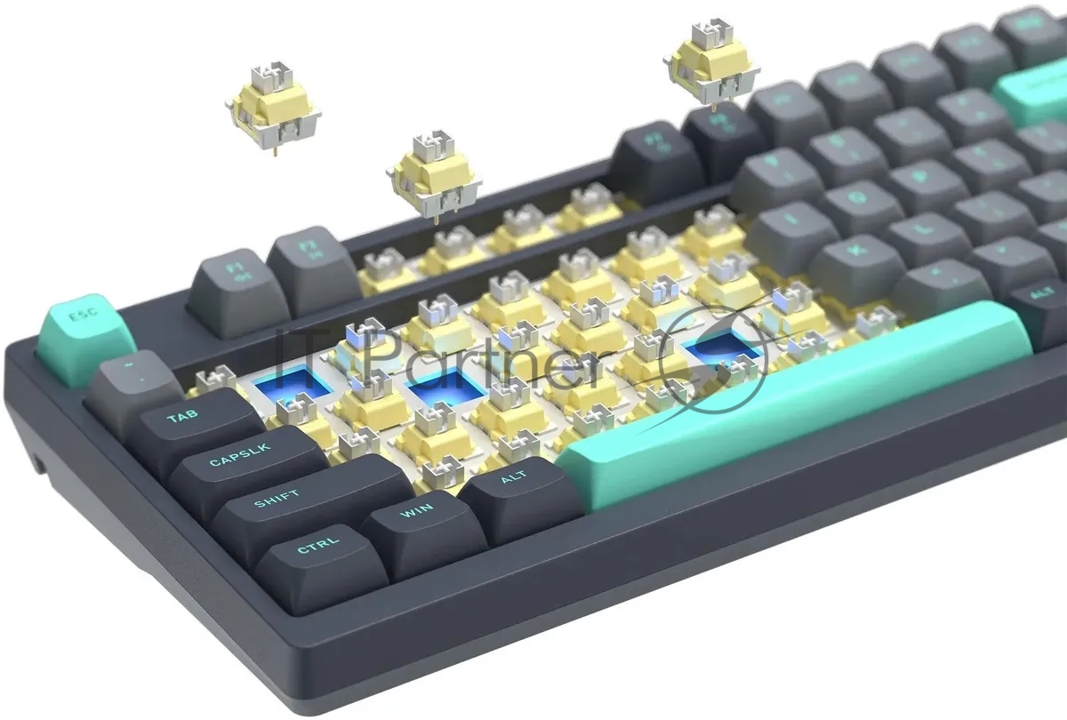Клавиатура проводная A4Tech Fstyler FS300 механическая черный/серый USB for gamer LED (FS300 PANDA ROCK)