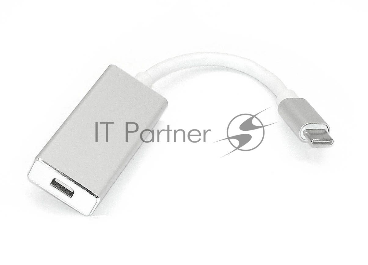 Адаптер Type-C на mini DisplayPort, серебро
